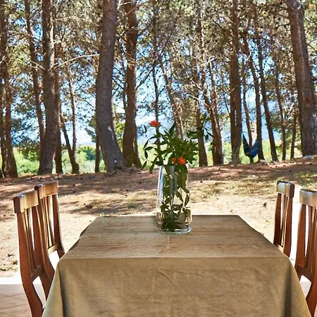Bed and Breakfast Ca Ardai Villa San Pietro